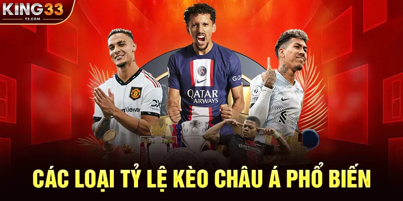 Các Loại Tỷ Lệ Kèo Châu Á Phổ Biến