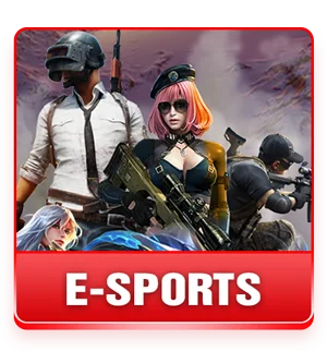 banner e sports king33
