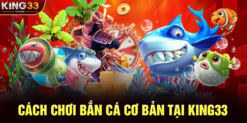 Cách Chơi Bắn Cá Cơ Bản Tại KING33